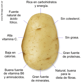 nutricion