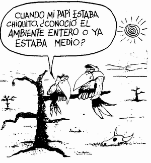 ambiente