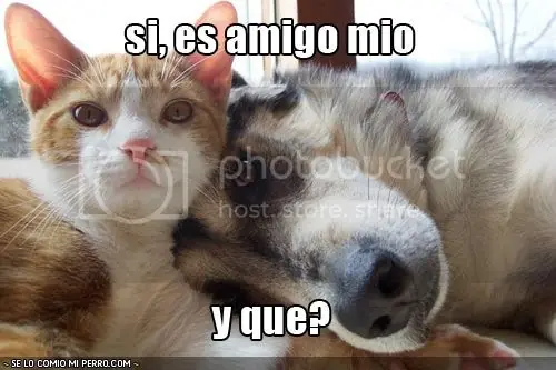 cosas graciosas