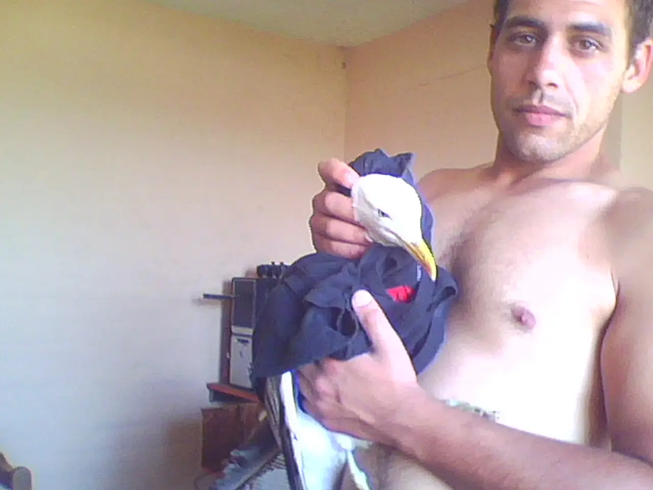 Encontré otro animal en playa