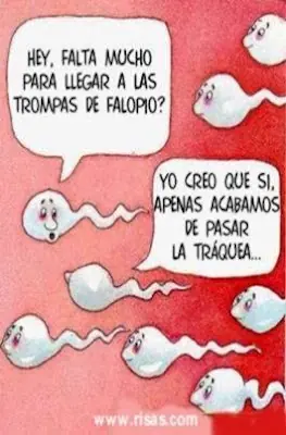 Imagenes 100% casi nunca vistas!!