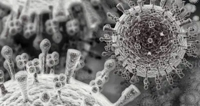 Cientifico crea nuevo virus consistente en nueva mutacion de