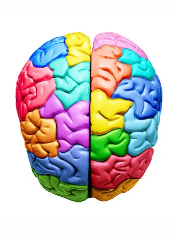 6 consejos para ser mas inteligentes