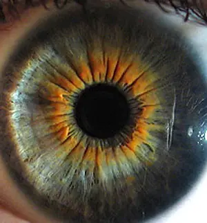 Las 2 unicas formas de cambiar el color de ojos