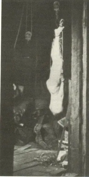 Asesino en serio.Ed Gein, el carnicero de Plainfield.
