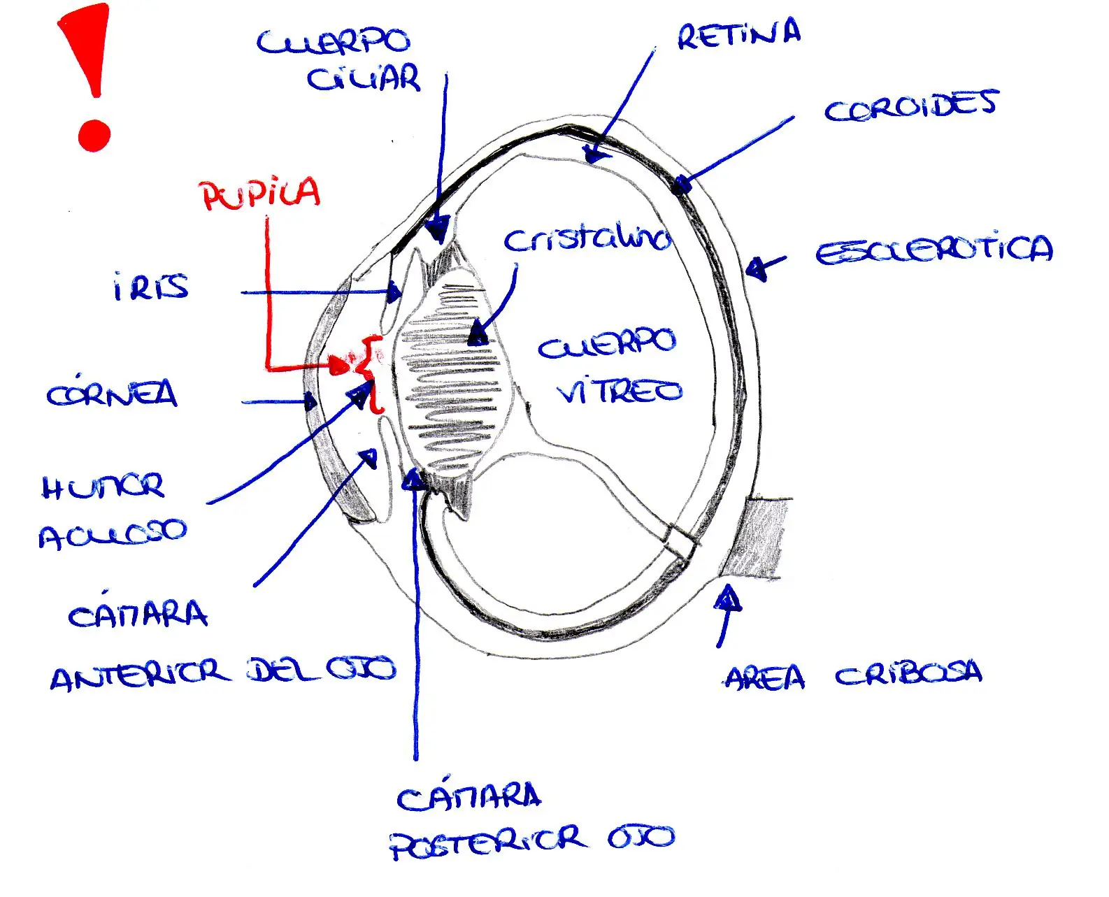 imagenes