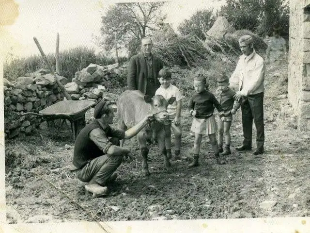 fotos
