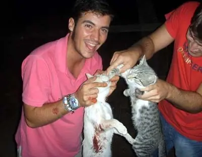 Matanza & Tortura de animales (Imagenes Fuertes) :(