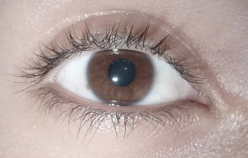 Color de ojos. por que?
