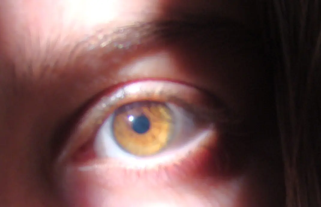 Color de ojos