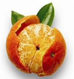 Pechuga de Pollo a la Mandarina