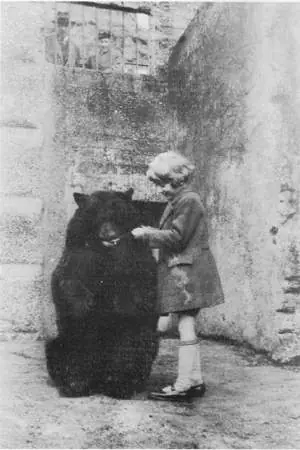 El creador de Winnie the Pooh y su sufrido hijo