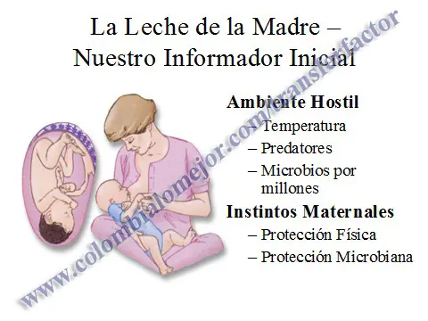 Nueva Medicina contra toda enfermedad.