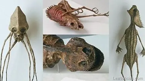 Los museos más raros del mundo (Fotos)