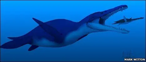 Descubren el cráneo del animal más grande de la prehistori