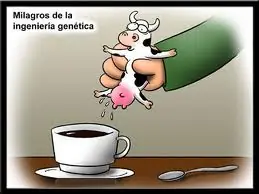 Chistes