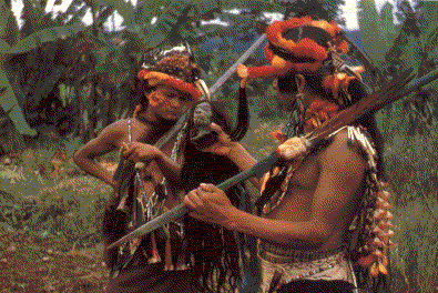 Reductores de cabezas