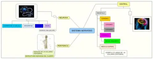 Mapas mentales para un aprendizaje significativo