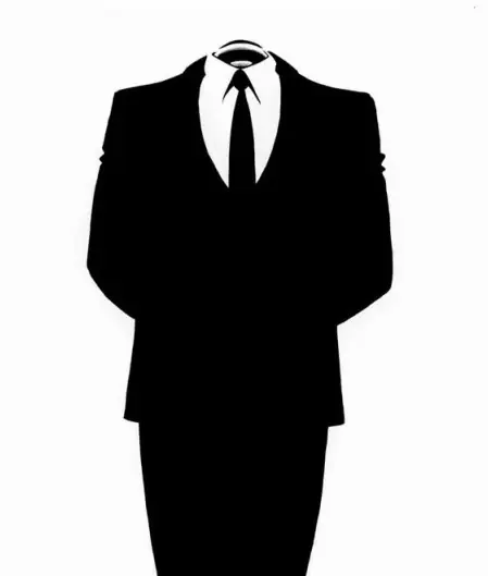 Cantantes atacados por anonymous