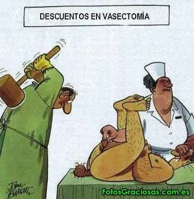 fotos grasiosas
