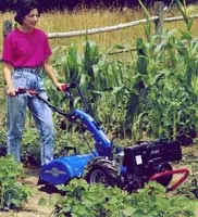 Huerta Orgánica paso a paso - Fácil