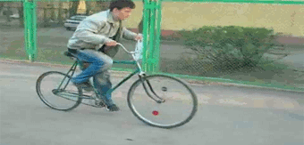 Gifs Grasiosos
