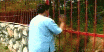 los mejores gifs
