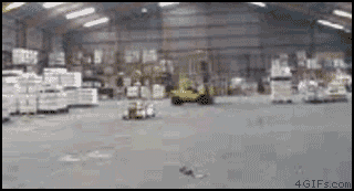 Gifs Grasiosos y buenos