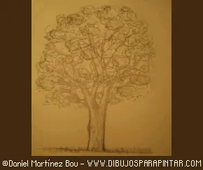 Como Dibujar Un Árbol [Tutorial]