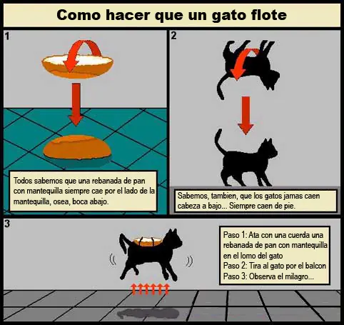 Como hacer que un gato flote