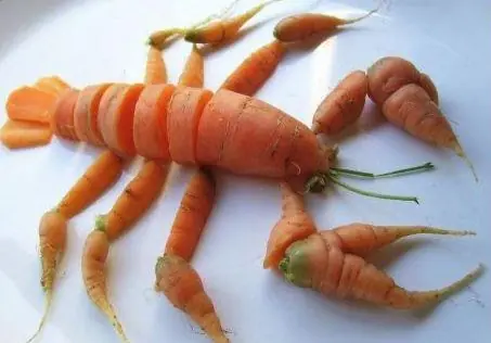 7 comidas que no son lo que parecen