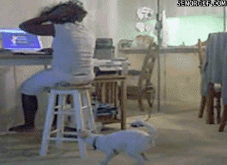 gifs taringa