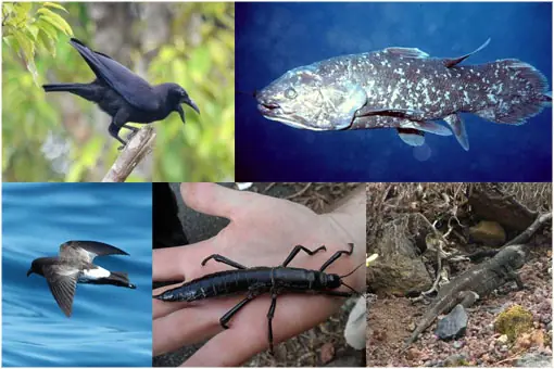 5 especies que se creían extintas, "redescubiertas&quo