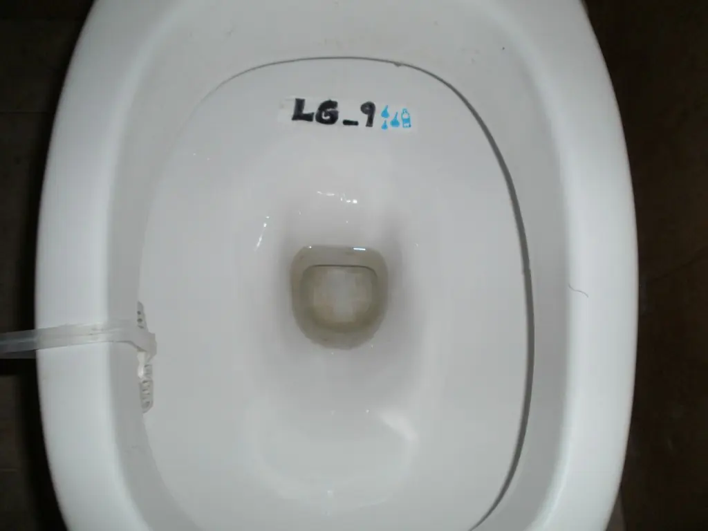 Encontre la solucion al problema de la resaca