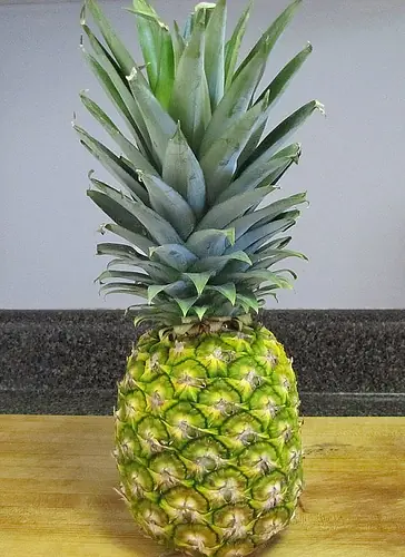 Crece tu propia planta de piñas.