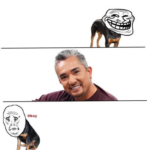 Un poco de Humor Grafico 8