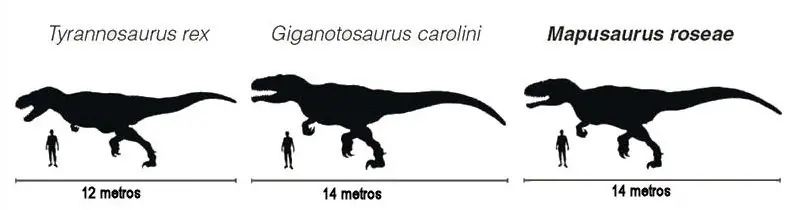 El carnivoro terrestre más grande de todos los tiempos
