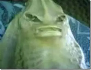 Pescadores rusos atrapan un extraterrestre