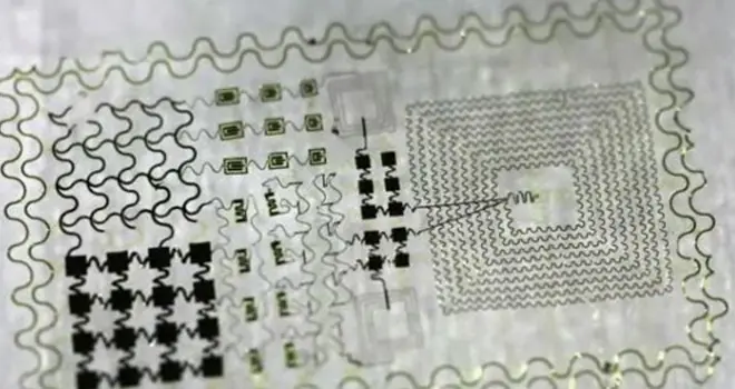 circuitos electrónicos que se adhieren a los tejidos vivos