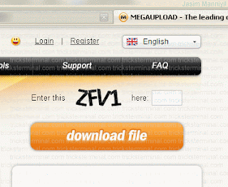 Razones por la que Megaupload cambio