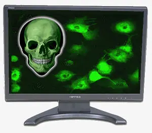Virus camuflado en Gmail