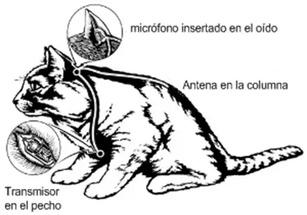 Experimentos locos y curiosos de la Guerra