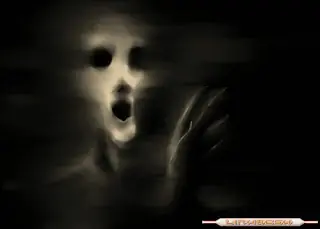 terror