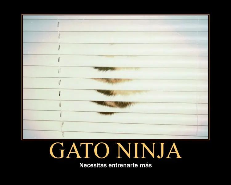 Carteles Desmotivadores