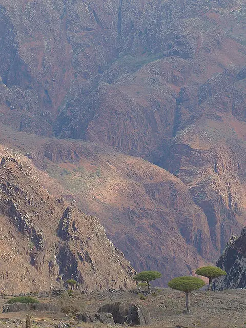 maravillas