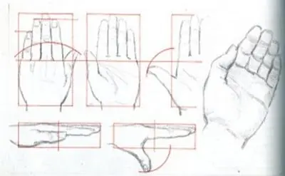 Aprende a Dibujar Correctamente