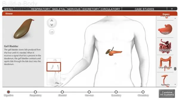 Lección interactiva para construir un cuerpo humano
