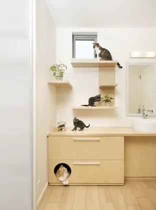 Casa para gatos en Japón