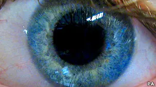 ¿Por qué los ojos son de colores?