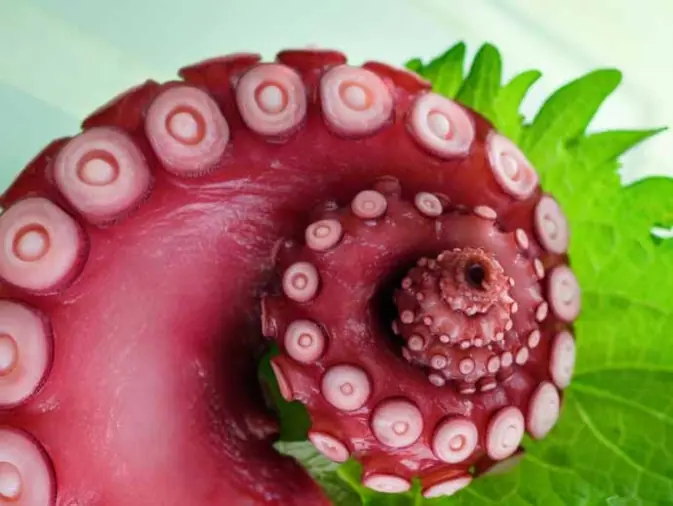 10 cosas que jamás tenés que probar cuando salís a comer